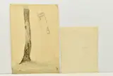 A botanical pencil sketch by Cornelius Varley, 1801, PENCIL, sold Oct 2023