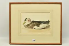 Mallard by Edward Davis, watercolour on paper, sold Oct 2023
