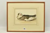 Mallard by Edward Davis, watercolour on paper, sold Oct 2023