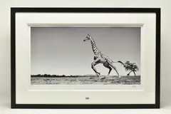Dance by Anup Shah, print, sold Oct 2023