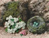 Forest floor still life with blossom and a bird's nest Signed JSherrin by John Sherrin, 1873, Watercolour and bodycolour heightened with gum arabic, sold Mar 2024