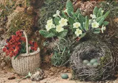 Forest floor still life with primroses and a bird's nest Signed TSherrin by John Sherrin, Watercolour heightened with gum arabic, sold Mar 2024