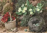 Forest floor still life with primroses and a bird's nest Signed TSherrin by John Sherrin, Watercolour heightened with gum arabic, sold Mar 2024