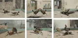 Cockfighting by Newton Smith Fielding, etching and aquatint, sold Mar 2024