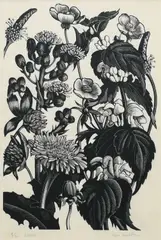 Weeds Signed, numbered and inscribed 9/30 Weeds Clare Leighton (in pencil to margin) Woodcut 17.4 x 12cm (image) by Clare Leighton, Woodcut, sold Dec 2023