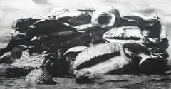 Untitled by Sam Kaprielov, Charcoal on gessoed board, offered Dec 2023