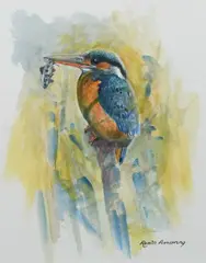 A kingfisher with a fish Signed Robin Armstrong by Robin Armstrong, Watercolour heightened with white, sold Dec 2023