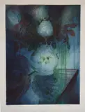 Hydrangeas etching and aquatint on paper by Richard Bawden Rws Neac, pencil, sold Oct 2023