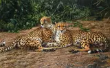 And further by Tony Karpinski, oil, sold Jun 2023