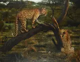 And further by Tony Karpinski, Oil on board, sold Jun 2023