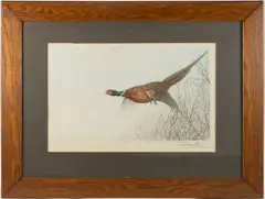 HUNTING / SPORTING ETCHING, a large hand-colored example with very fine detail featuring a pheasant in flight by Léon Danchin, pencil-signed lower right. Housed under glass in a period oak frame. Circa 1920. 15 1/2, sold Mar 2026