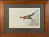 HUNTING / SPORTING ETCHING, a large hand-colored example with very fine detail featuring a pheasant in flight by Léon Danchin, pencil-signed lower right. Housed under glass in a period oak frame. Circa 1920. 15 1/2, sold Mar 2026