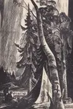 North of the Height of Land by Lynd Ward, woodblock on paper mounted to mat, sold Aug 2020