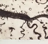 Big River And Little Rivers by John Olsen, 1990, sugarlift aquatint, drypoint etching on Arches paper AP + edition of 15 signed and dated lower right: John Olsen 90 numb, sold Oct 2019