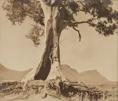 Spirit Of Endurance by Harold Cazneaux, 1937, silver gelatin photograph, sold Jun 2020