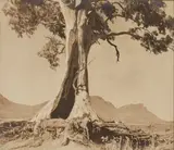Spirit Of Endurance by Harold Cazneaux, 1937, silver gelatin photograph, sold Jun 2020