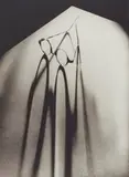Glasses by Olive Cotton, 1937 (printed 1999), silver gelatin photograph, sold Jun 2020