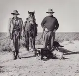 Sheep Drovers Near One Tree, Nsw by Jeff Carter, 1955, selenium toned black and white photograph, sold Jun 2020