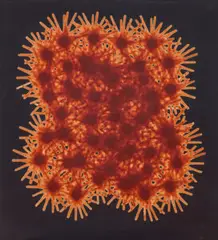 Spread by Stieg Persson, 2004, oil and Alkyd resin on linen, sold Mar 2022