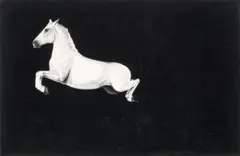 White Horse Jumping by Michael Zavros, charcoal on paper, offered May 2022