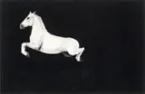 White Horse Jumping by Michael Zavros, charcoal on paper, offered May 2022