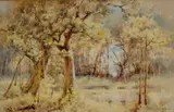 Landscape With Wattle by Emma Minnie Boyd, 1912, watercolour on paper on card, sold Aug 2022