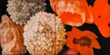Rose Diptych by Tim Maguire, 1991, oil on sized paper on canvas (diptych), sold Oct 2022