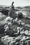 Pitjantjatjara Children Ii, South Australia by David Moore, 1963, silver gelatin photograph, sold Oct 2022
