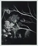 Landscape At Night Castlecrag by Max Dupain, 1980, inkjet print, sold Oct 2022