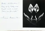 Christmas Card With Peace Lily Photo by Max Dupain, 1983, silver gelatin photograph accompanied by the artist's handwritten card, sold Oct 2022