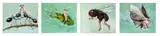 Untitled (Ants), Untitled (Fly) And Untitled (Frog) by Joanna Braithwaite, 2001, oil on canvas, sold Dec 2022