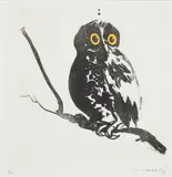 Startled (Owl) by Brett Whiteley, 1984, hand coloured sugarlift aquatint, printed in black ink on ivory wove paper, sold May 2023
