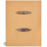 Couple d’éléphants & Éléphant dans la savane, vers1902-1904 Dessins préparatoires pour deux broches ou deux barrettes en déclinaison sur la même feuille by René Lalique, Gouache, encre de Chine sur papier BFK de Rives, sold Nov 2025
