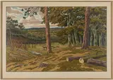 La Forêt. (Pl. 13 des Aspects de la nature). 1908 by Henri Rivière, Lithographie, sold May 2025