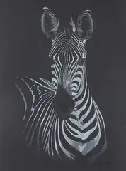 Zèbre by Pascal Wolff, 2023, Pastel blanc et gris sur papier noir, sold May 2025