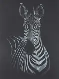 Zèbre by Pascal Wolff, 2023, Pastel blanc et gris sur papier noir, sold May 2025