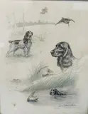 Etude de chiens by Léon Danchin, Lithographie, sold Dec 2024