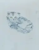 Chat by Léonor Fini, Lithographie numérotée, sold Oct 2024