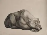 Ours polaire couché by Georges Lucien Guyot, Lithographie, sold Sep 2025