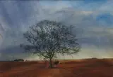 Arbre en plaine by Michel Ciry, Aquarelle, sold Sep 2025