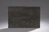 Sans titre by Pierre Dedieu, 1970, Panneau aux grandes feuilles d'arbres Bas-relief en bois sculpté et patiné, sold Oct 2025