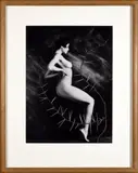 Uwe OMMER (Allemand, né en 1943) La dame de pique by Uwe Ommer, Technique mixte (photographie et collage de branches) sur papier datée et signée en bas à, sold Mar 2022