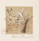 Etude sur le chevreuil by Etienne Vandendriessche, Plume, fusain, aquarelle et gouache, dédicacé et daté en bas à droite, sold Feb 2022