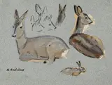 Biches by Alfred Andrieux, Aquarelle portant le cachet de la signature en bas à gauche, sold Feb 2022