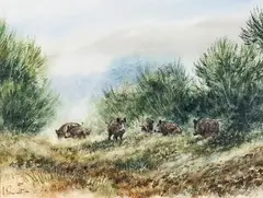 Sangliers dans les genêts by Arnaud Freminet, Aquarelle signée en bas à droite, sold Feb 2022