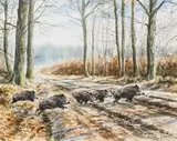 Compagnie de sangliers by Arnaud Freminet, Aquarelle signée en bas à droite, sold Feb 2022