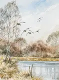 Les canards by Arnaud Freminet, Aquarelle signée en bas à droite, sold Feb 2022