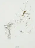 SANS TITRE by Francis Limerat, 1981, Aquarelle et encre sur papier signé et daté, sold Dec 2020