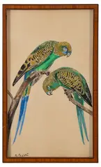 Deux perruches sur une branche by Raymond Bigot, Encre et aquarelle sur papier, sold Jun 2025