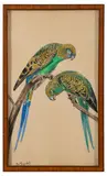 Deux perruches sur une branche by Raymond Bigot, Encre et aquarelle sur papier, sold Jun 2025
